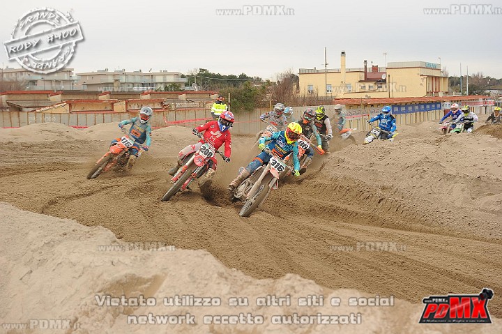 DSC_9537 (Copy).jpg